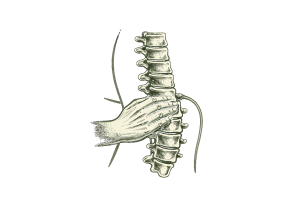 osteopata