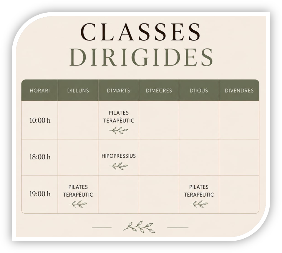 clases fisio6
